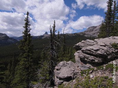 IMG_9478.JPG