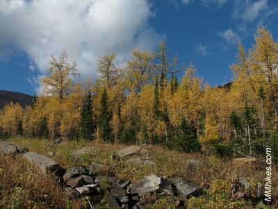 IMG_6918.JPG