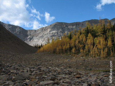 IMG_6923.JPG