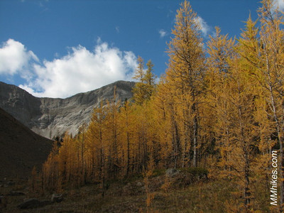 IMG_6943.JPG