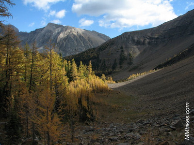 IMG_6949.JPG