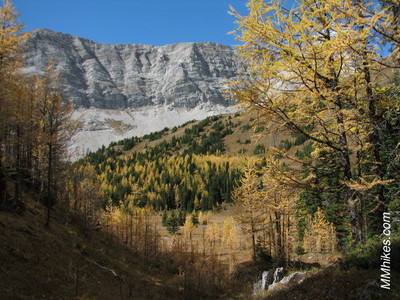 IMG_6951.JPG