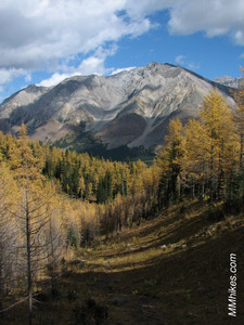 IMG_6957.JPG