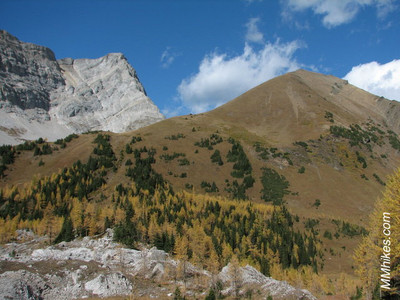 IMG_6962.JPG