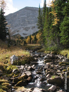 IMG_7033.JPG