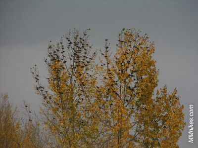 IMG_7186.JPG