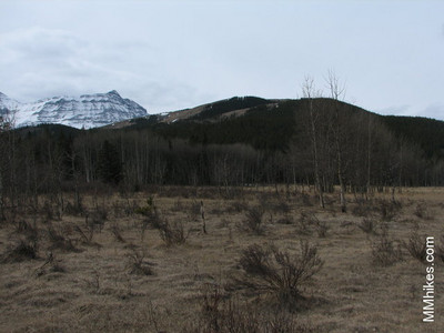 IMG_3804.JPG