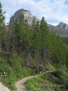 IMG_8005.JPG