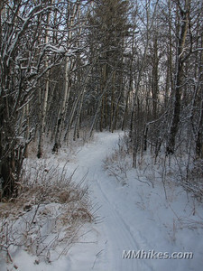 IMG_5304.JPG