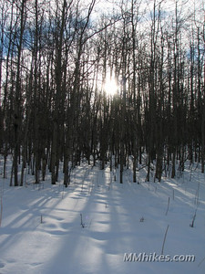 IMG_6107.JPG
