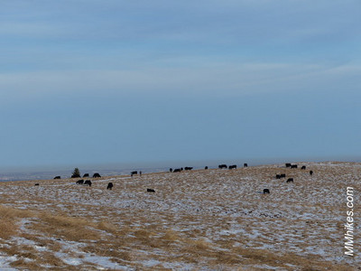 P1240010.JPG