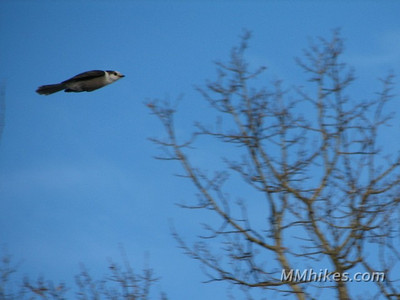 IMG_6355.JPG
