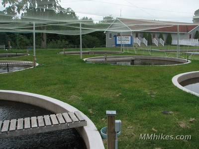 0710-8659.JPG
