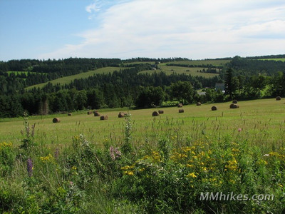 0721-2051.JPG