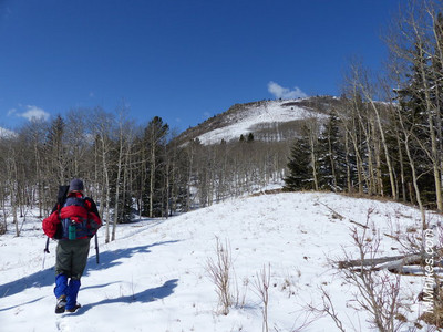 P1080655.JPG