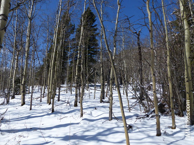 P1080656.JPG