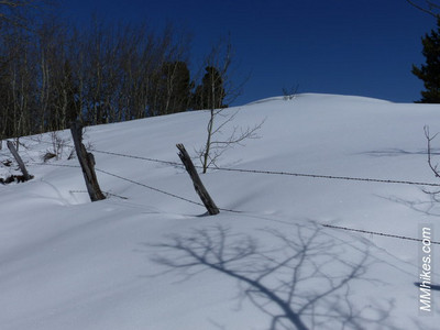 P1080782.JPG