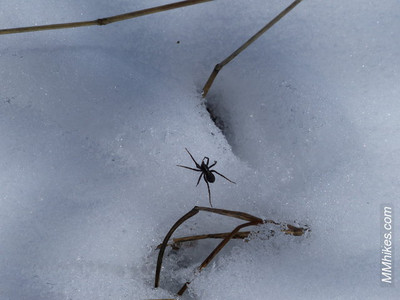 P1080783.JPG