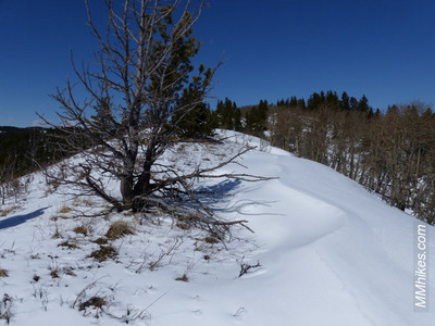 P1080828.JPG