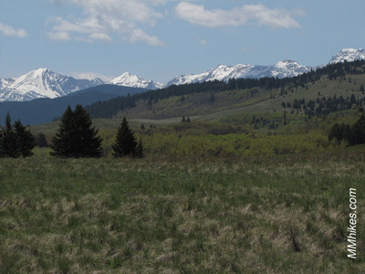 IMG_3316.JPG
